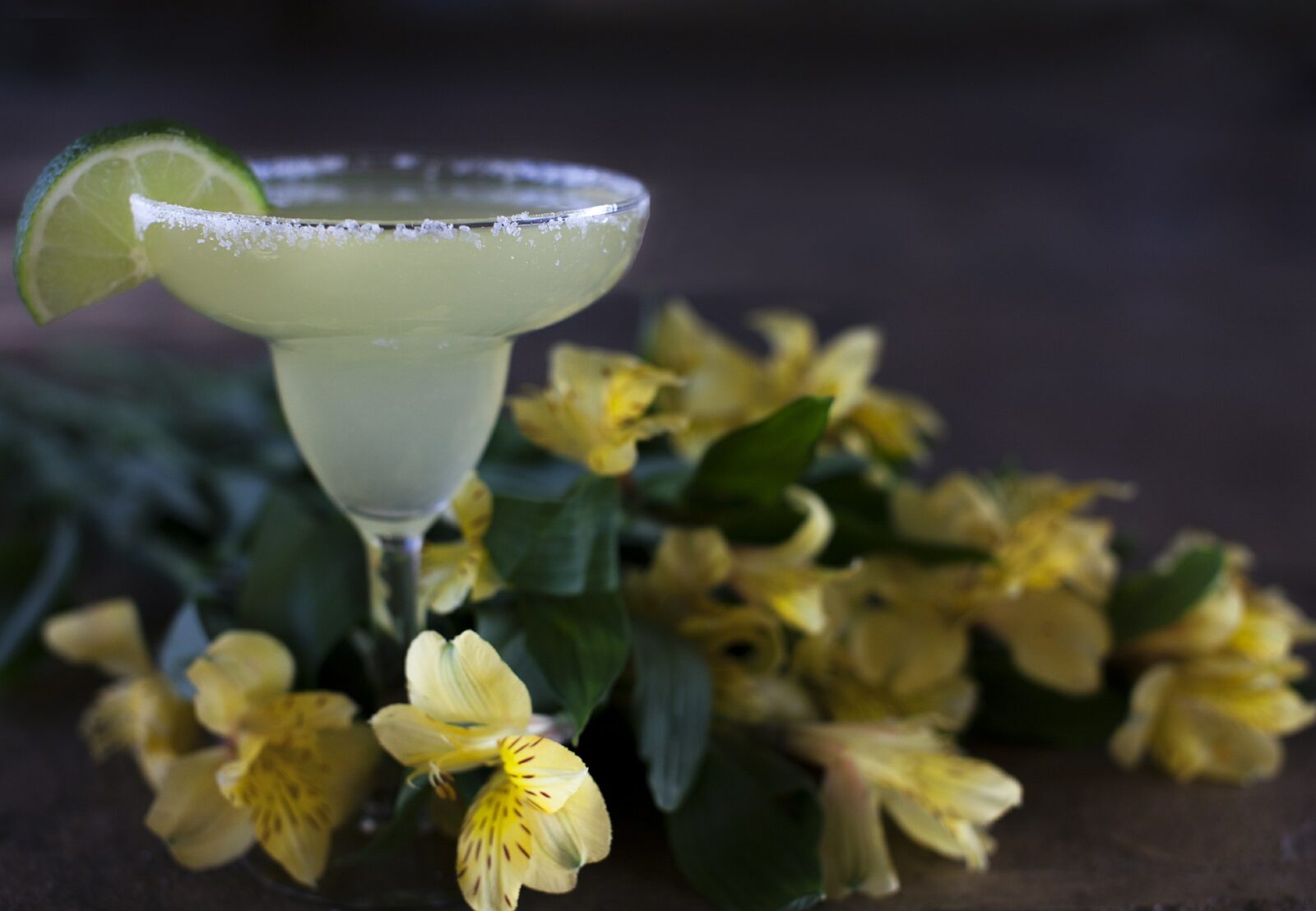 Margarita cocktail